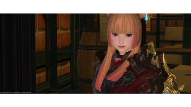 Ff14 公式攻略本 漆黒ver 漆黒のヴィランズ バトルジョブ ダンジョン公式ガイド Ff14ブログりおの桜庵