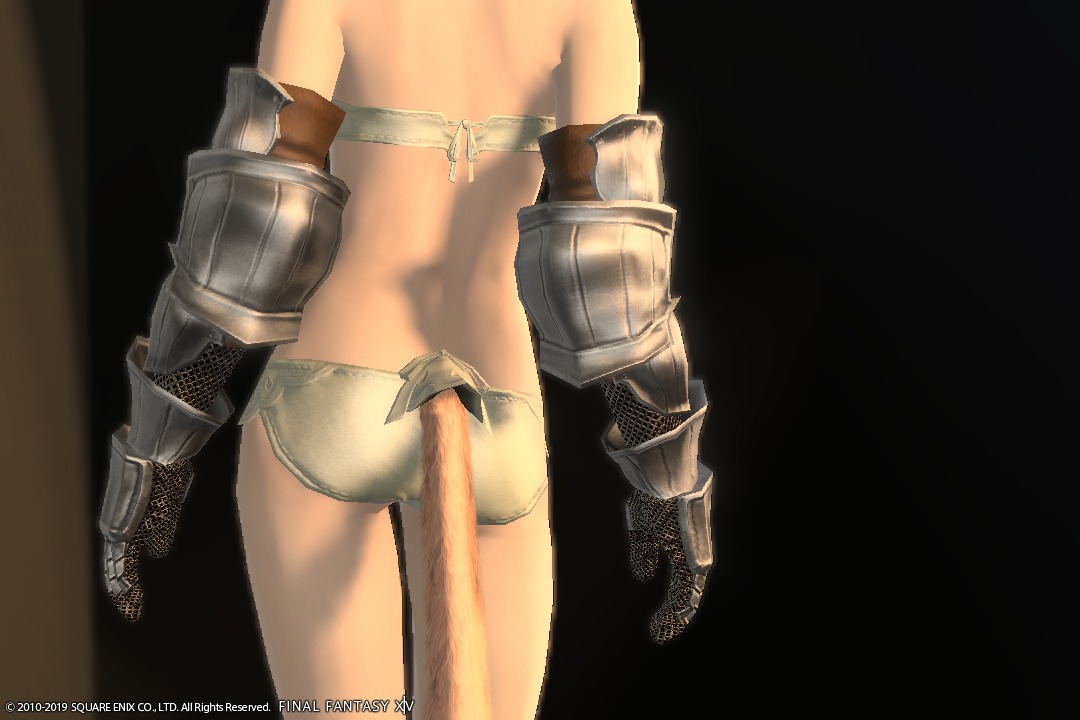 Ff14 ゼノビアンパラディン装備の詳細 巨砲要塞 カストルム アバニア Ff14ブログりおの桜庵