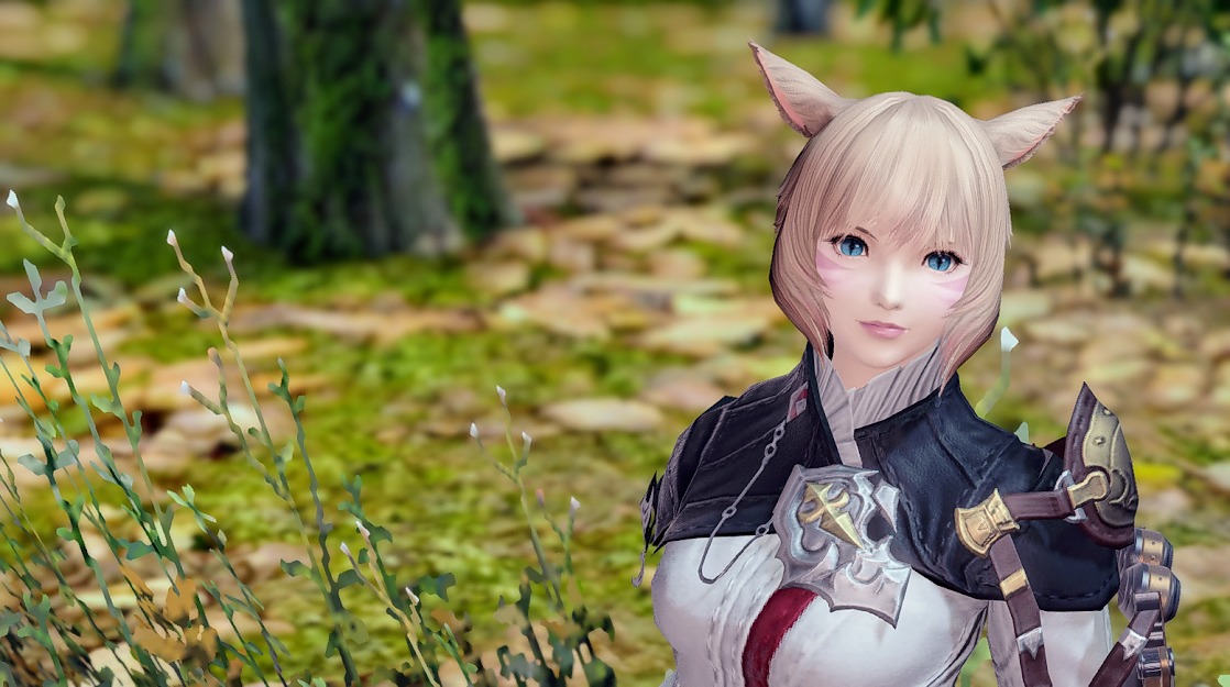 Ff14 ヘアカタログ サイオンズヒーラー ヤ シュトラの髪型 Ff14ブログりおの桜庵